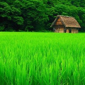 Meet your Posher, Karla